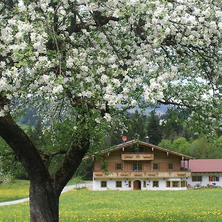 Chaletwohnung Lederer Ebbs Dış mekan fotoğraf