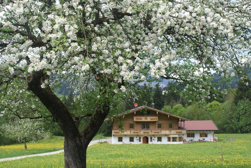 Chaletwohnung Lederer Ebbs Dış mekan fotoğraf